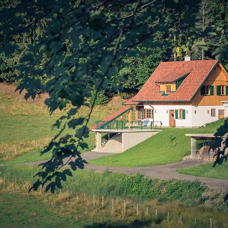 Ferienhaus Almruhe Schwanberg エクステリア 写真